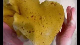 Sponge Rinse Warning Super Squeaky Glove Sounds