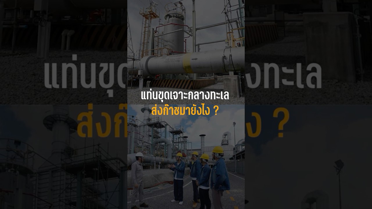 แท่นขุดเจาะกลางทะเล ส่งก๊าซมายังไง? #เสือร้องไห้ #TigerShorts #shorts  #ทัศนศึกษา #ก๊าซธรรมชาติ