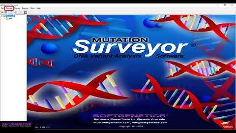 Creating Custom Settings Files in Mutation Surveyor Software