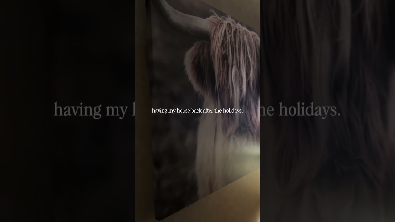 Nothing like a clean house after the holidays 🤎