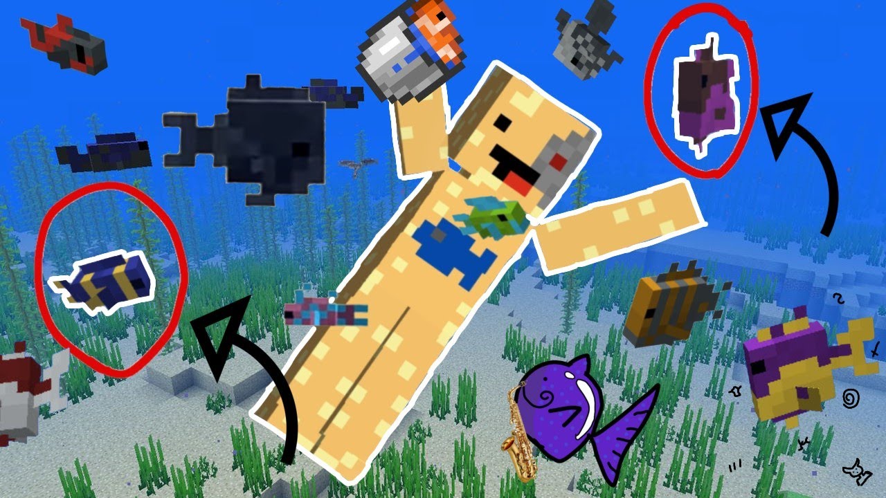 Comment différencier les poissons tropicaux rares ? - Minecraft - YouTube