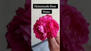 How To Make Gulab jal/Rose Water At Home shorts shortsvideo shortsfeed youtubeshorts trending