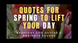 Spring Quotes And Nature Quotes With Spring Flowers To Lift Your Day