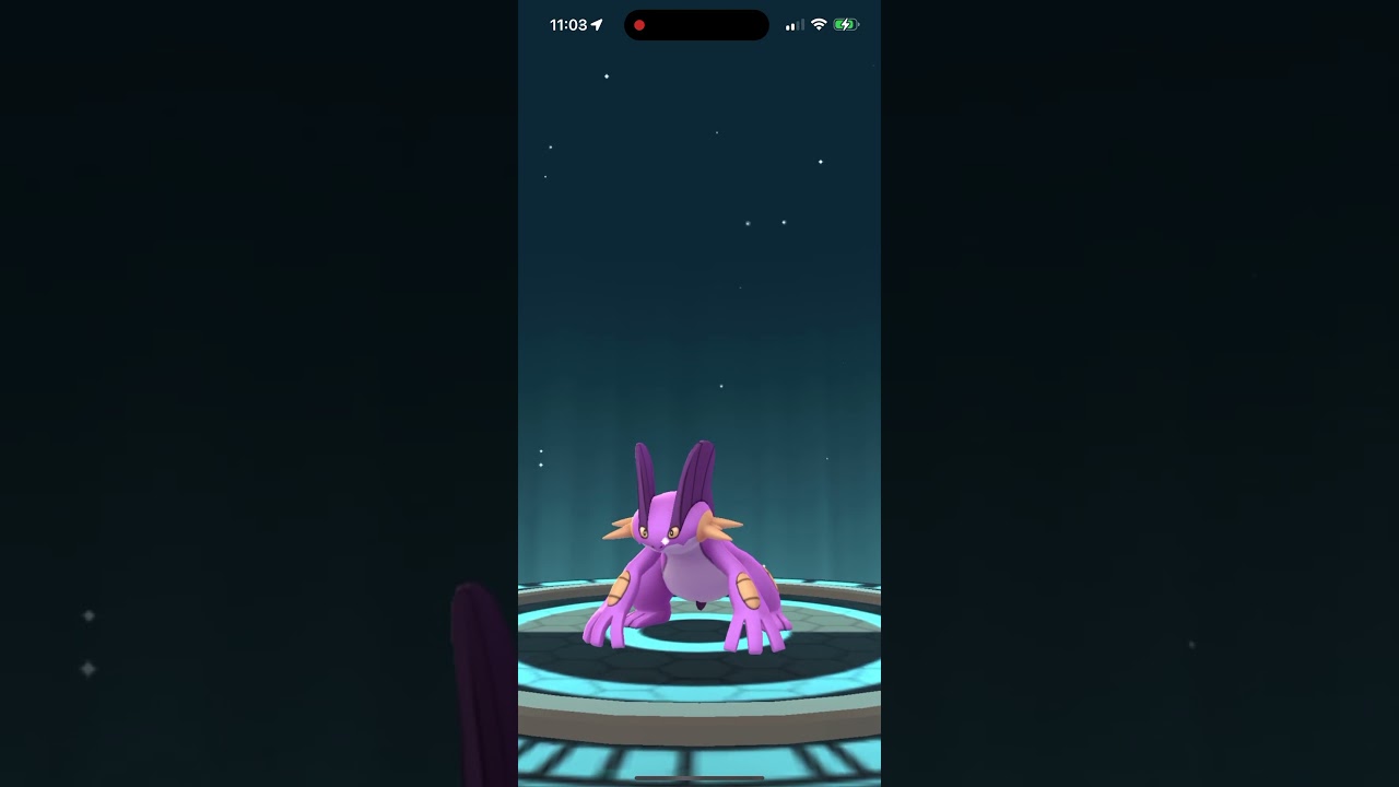 Evolving Shiny Marshtomp Into Shiny Swampert In Pokémon Go