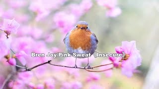 Insecure(feat. Pink Sweat) - Bren Joy/Pink Sweat(lyrics)