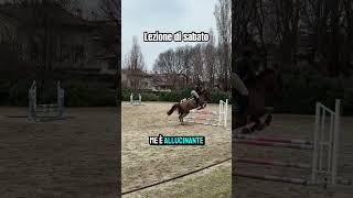 #cavalli #horse #equitazione #equestrian #maneggio