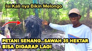 Alhamdulillah || Sawah 35 Hektar Bisa Di Garap Lagi || Normalisasi Kali