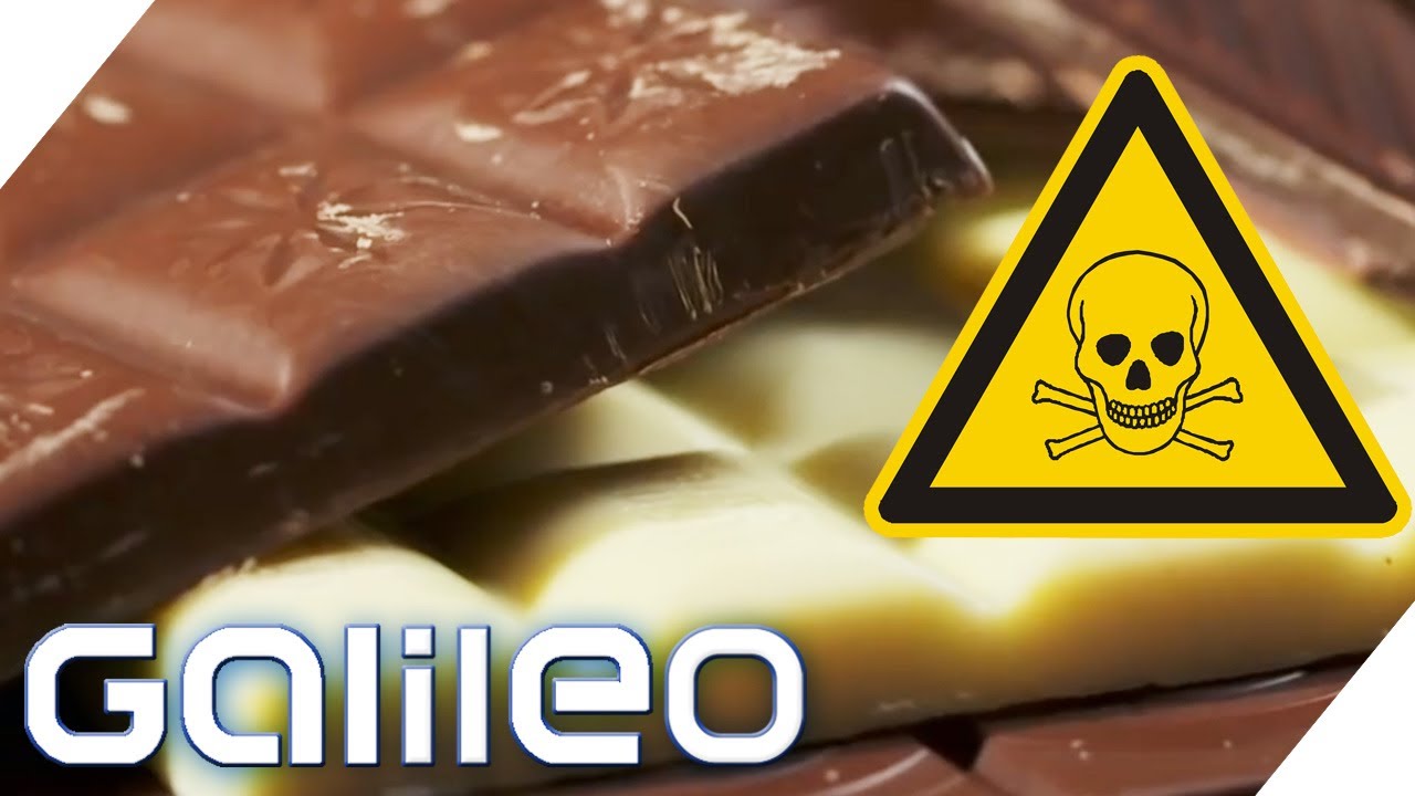 Schokolade Kann Tödlich Sein! 5 Secrets Über Schokolade | Galileo |  Prosieben - Youtube