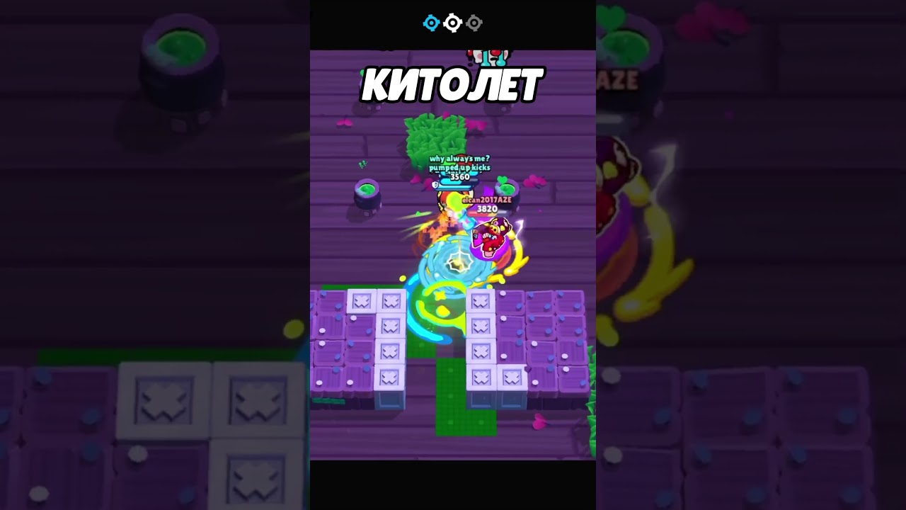 😸КОШАЧИЙ БОМБАРДИРОВЩИК