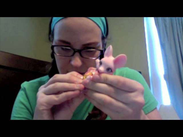 PIPOS mini Mini Pang (American Shorthair) [Pipos Doll - Jr. PI