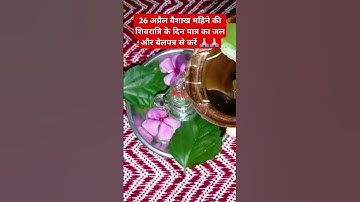 26 अप्रैल वैशाख महिने की शिवरात्रि के दिन मिट्टी के पात्रका जल औरबेलपत्र #pradeepmishrajidhankeupay