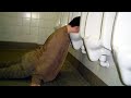 10 Dumbest Things Drunk People Have Done