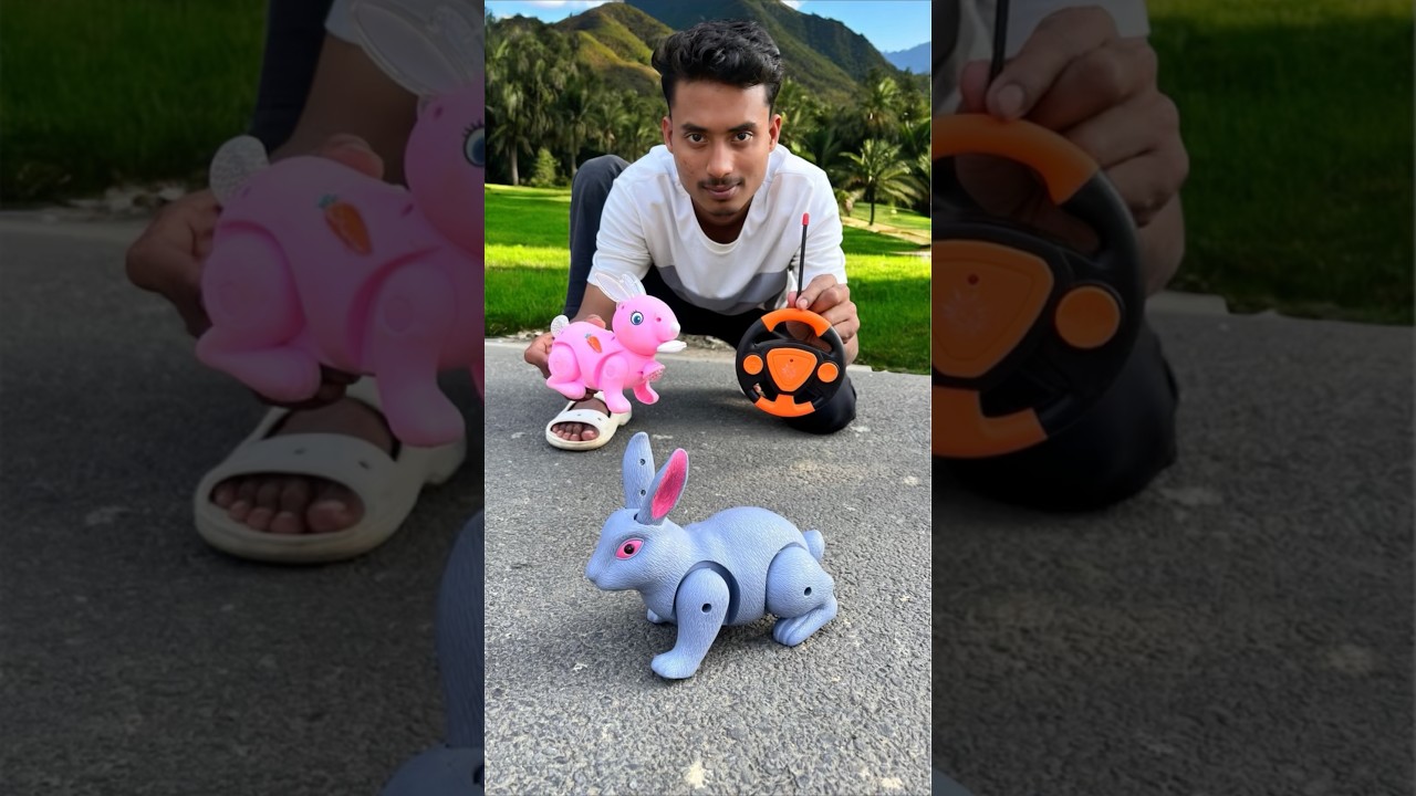 Huru Rabbit Vs Remote Control Rabbit Dese