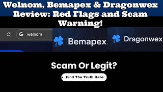 Welnom, Bemapex & Dragonwex Review: Scam or Legit