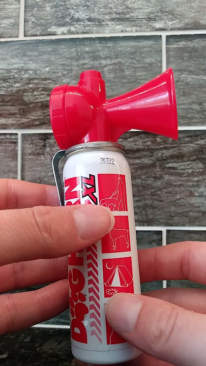 In Hand Review of SAFETY-SPORT DOG HORN XL