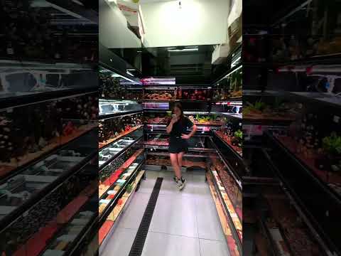 Exploring a Chinese