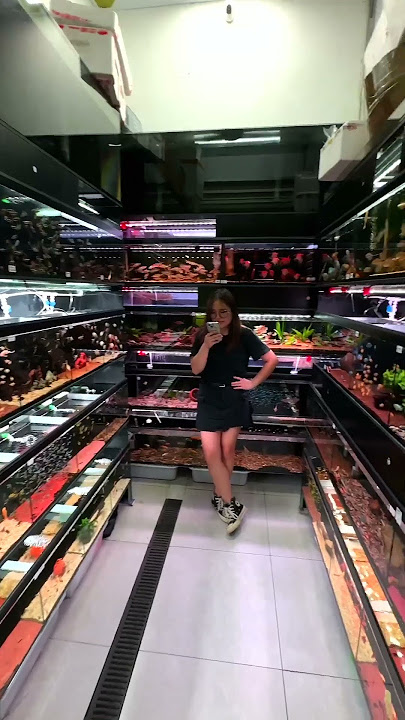 Exploring a Chinese Tropical Fish Market