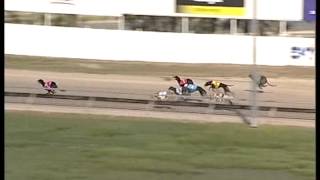 Ipswich-09012015-Race-4