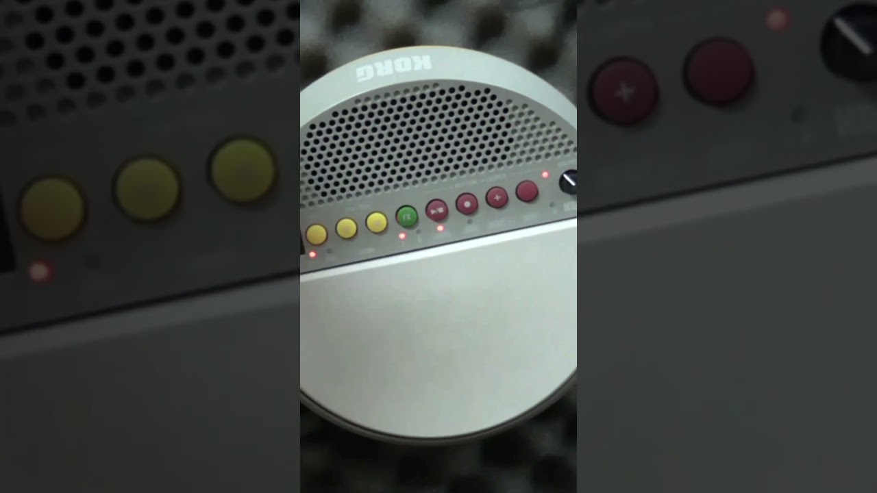 Shaker & Mini Wavedrum Combination