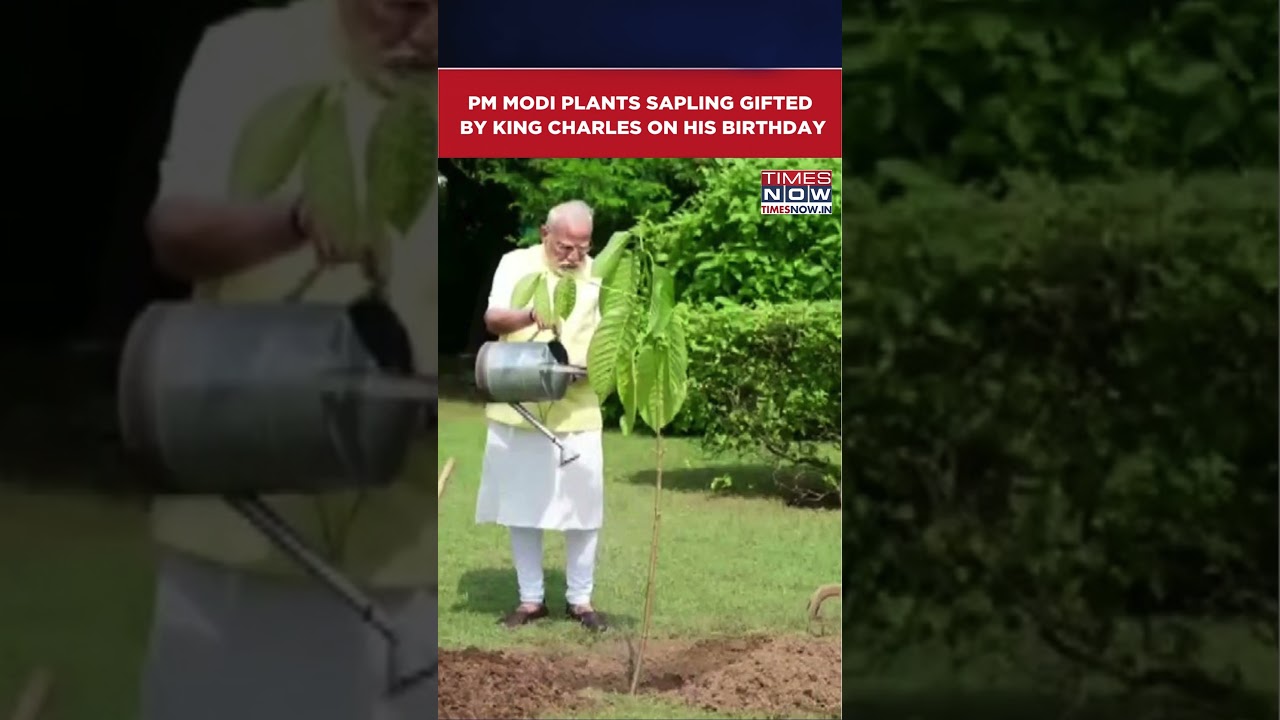 WATCH: PM Modi Plants Kadamb Sapling Gifted By King Charles On His Birthday 