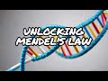 Mendel's Law of Dominance: Genetics 101