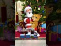 papai Noel 🎅 e ginger no dia 25 de dezembro