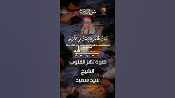 راحة القلب بتلاوة #الشيخ_سيد_سعيد  #quran