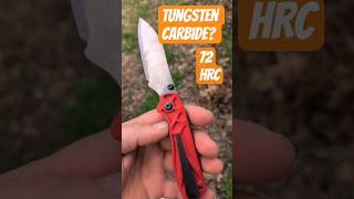 Sandrin Torino - The longest lasting knife edge ever? #edc #knifeskills #bladelife