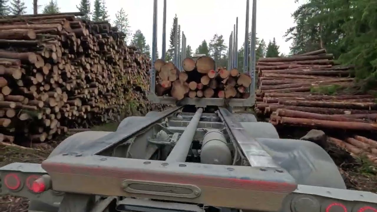 Tehokas vuoro ja puuhun perruutus vuoron lopussa OSA 1