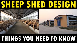 Sheep Shed Design | Sheep Farming / Lamb wool Farming