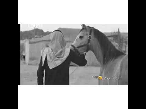 أنت عمري روحي فيك تحيا ياهواي