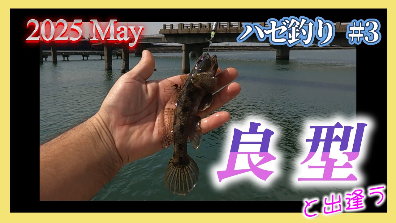 2026年【ハゼ釣り#3】5月14日‗デキハゼ求めて岩場と深場で釣ってみたら