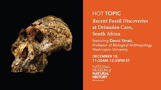 Hot human Origins Today Topic Recent Fossil Discoveries At Drimolen Cave South Africa