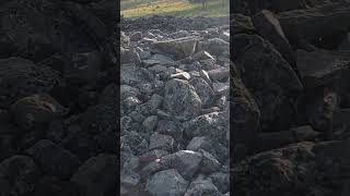 Pazirik Kurganlari...