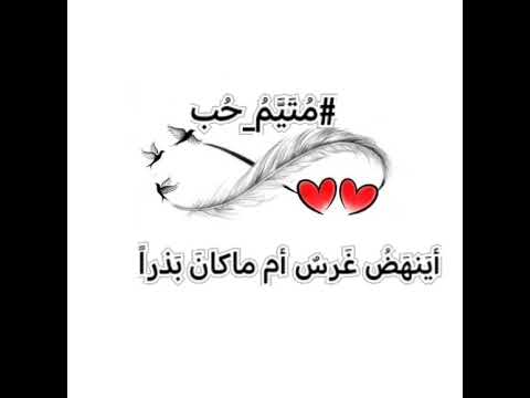 م حل إختيارك متيم حب أدب شعر فصيح ذوق العراق العرب بغداد أصالة 