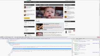 Tutoriel firebug et prestashop (Francais)