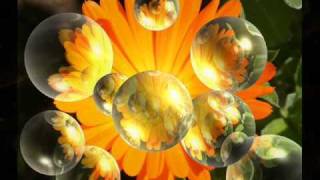 Babanam Kevalam. Akhanda kiirtan. Siddha Mantra