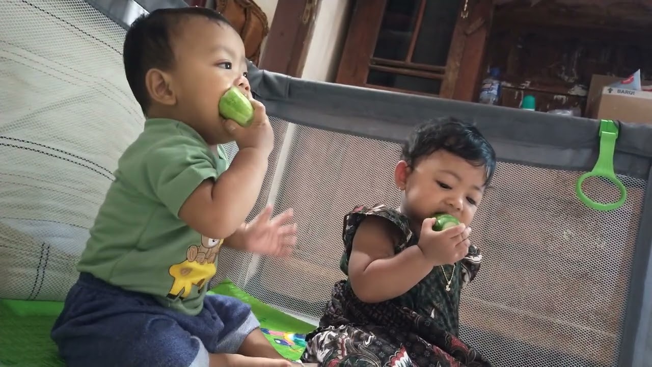 Si Kembar Sibuk Makan Timun 