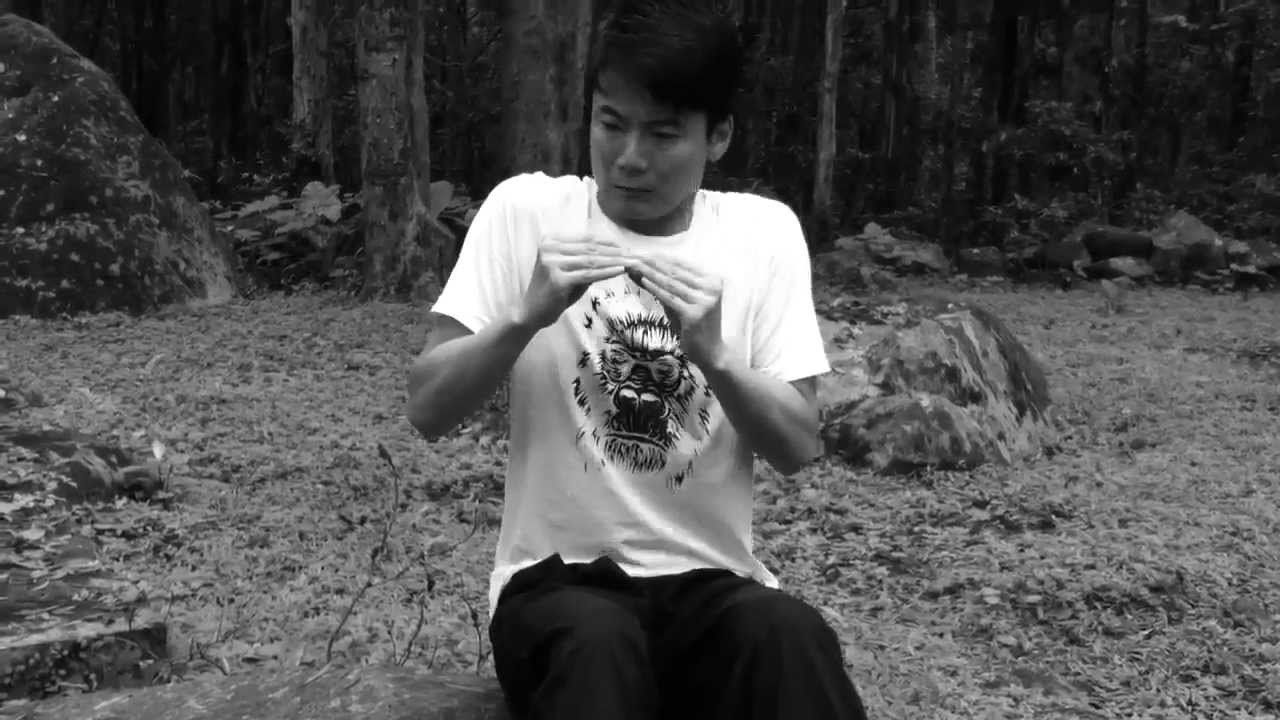 One Day One Mime - Fly (13/6/2013)