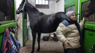 20170209 164538