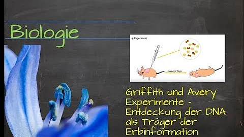 Warum ist die DNA der Träger der genetischen Information?