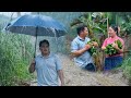 Mila Was Surprised When Viet Came In The Rain To Help Harvest Vegetables