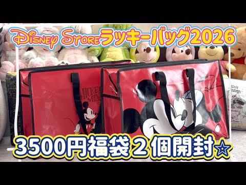 福袋開封】2026年 ディズニーストアの3500円の福袋2個開封 - YouTube