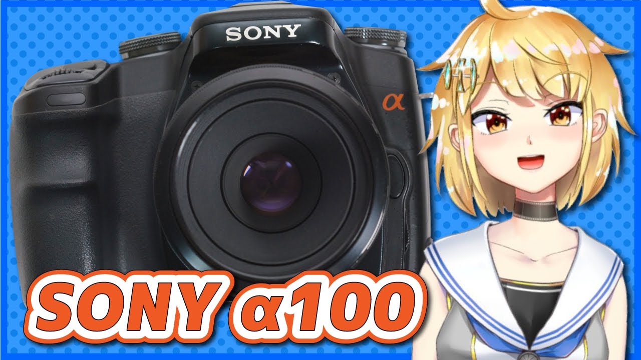 SONY - ♥︎◇SONY α100  ◇はじめての一眼レフ♪ ◇美品♪ SONY α100」オールドデジタル一眼レフを使って写真撮影を楽し