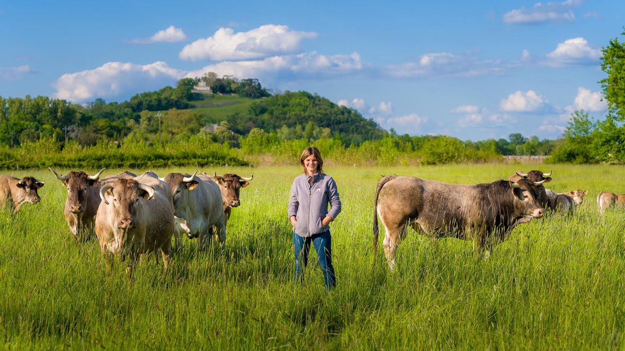 Découvrir La Ferme de Bérénice
