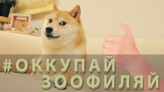 ОККУПАЙ-ЗООФИЛЯЙ (18+)