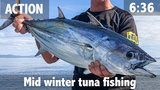 Mid winter tuna fishing