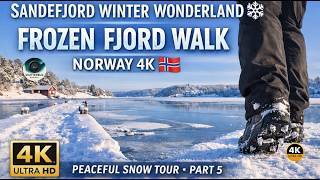 Sandefjord Winter Wonderland  Frozen Fjord Walk Norway 4k  Peaceful Snow Tour part 5