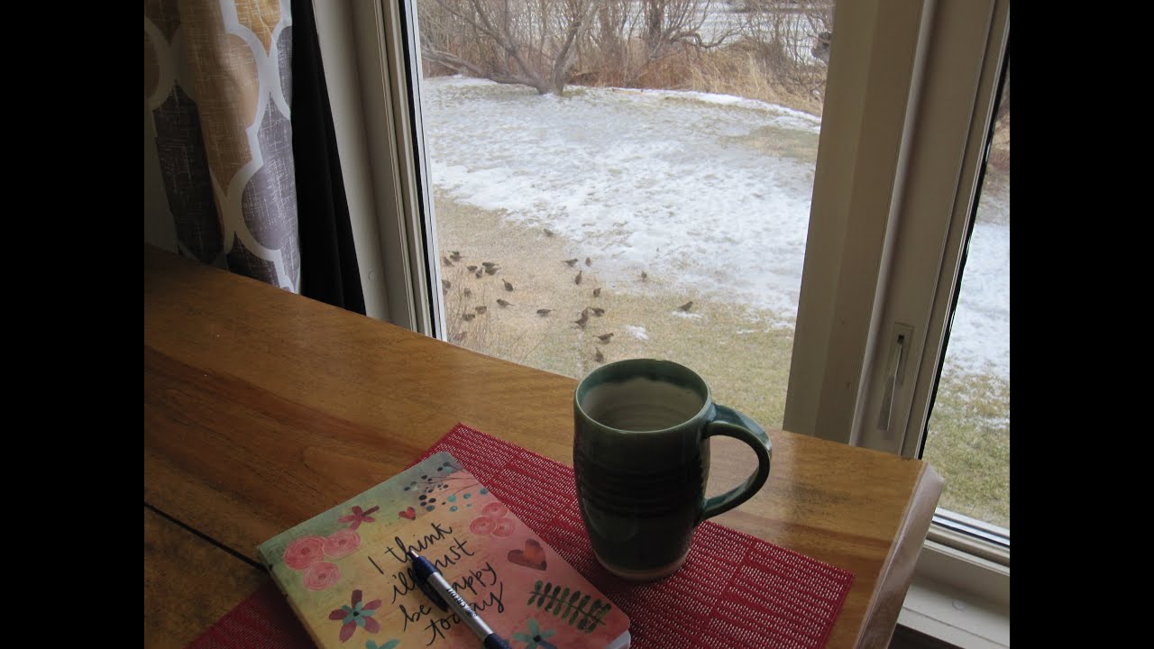 It's All About The Birds!! Making Birdseed Cakes & Christmas Lights Takedown!