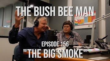 ABC Adelaide Radio Interview - The Bush Bee Man